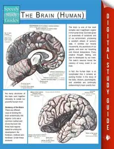 «The Brain (Human) (Speedy Study Guides)» by Speedy Publishing