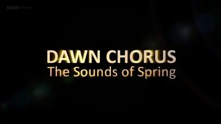 BBC - Dawn Chorus: The Sounds of Spring (2015)