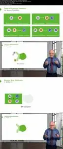 Enzymes and Enzyme Kinetics