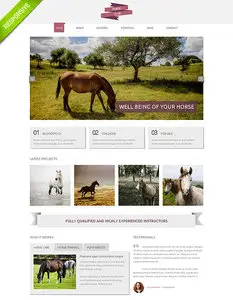 FlashMint - Horse Club Responsive Bootstrap Website Template