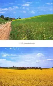 Das Land der Großen Masurischen Seen