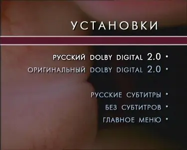 BBC - The Human Body