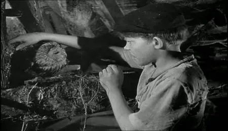(Drame) JEUX INTERDITS [SATrip] 1952