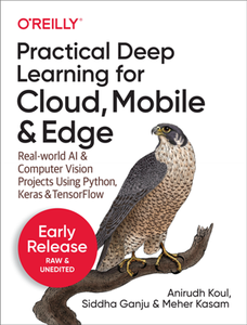 Practical Deep Learning for Cloud, Mobile, and Edge, Third Release (Early Release)