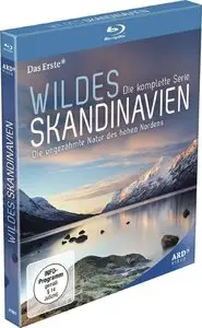 Wild Scandinavia / Wildes Skandinavien (2011)