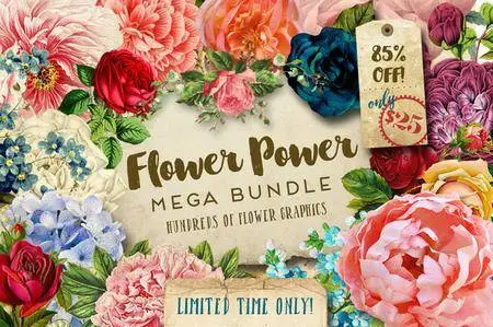 CreativeMarket - Flower Power Mega Bundle