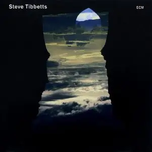 Steve Tibbetts - Natural Causes (ECM Records, 2010)