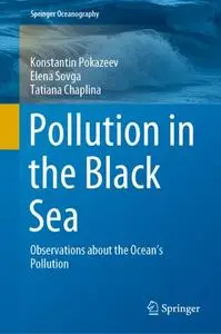 Pollution in the Black Sea: Observations about the Ocean's Pollution