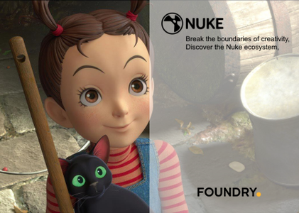 The Foundry Nuke Studio 13.1v1