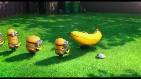 Puppy (2013)