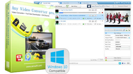 Any Video Converter Professional 6.2.1 Multilingual + Portable