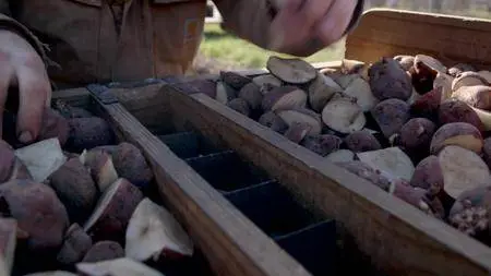 Sustainable (2016)