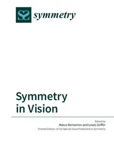 Symmetry in Vision