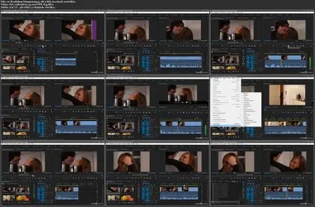 Premiere Pro 2022 Grundkurs 3: Videos schneiden