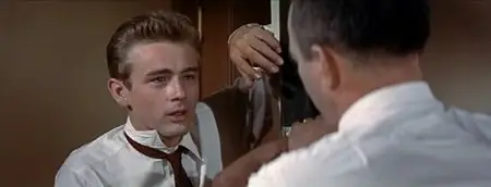 Rebel Without a Cause / Бунтарь без идеала  (1955)