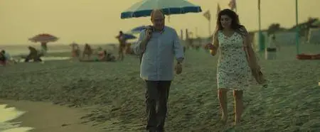 L'abbiamo fatta grossa (2016)