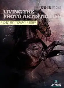 Living The Photo Artistic Life - December 2018