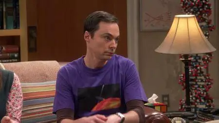 The Big Bang Theory S11E08