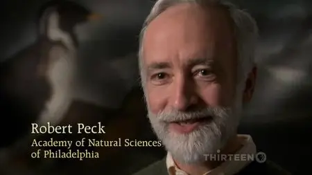 PBS American Masters - John James Audubon: Drawn From Nature (2006)