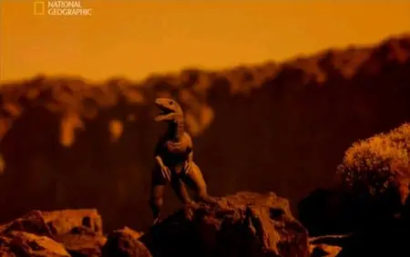 National Geographic - Evolutions (2008) DVDRip