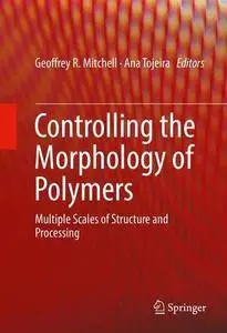 Controlling the Morphology of Polymers: Multiple Scales of Structure and Processing