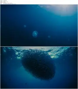Voyage of Time: The IMAX Experience (2016)