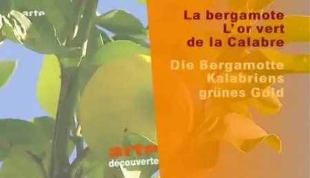 (Arte) La bergamote, l'or vert de la Calabre (2011)