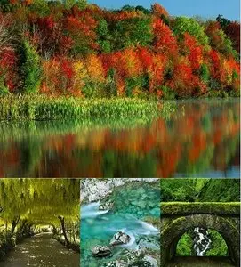The magnificent beauty of nature 11