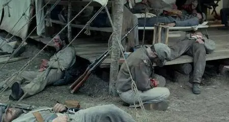 Free State of Jones (2016)