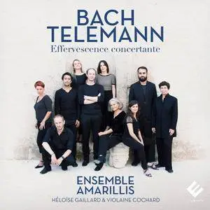 Ensemble Amarillis - Bach & Telemann: Effervescence concertante (2017) [Official Digital Download 24/96]