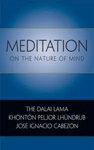 Meditation on the Nature of Mind