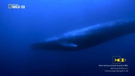 National Geographic - Giants of the Deep Blue (2018)