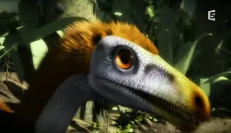 (Fr5) Les dinosaures avaient des plumes (2011)