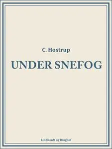 «Under snefog» by C. Hostrup