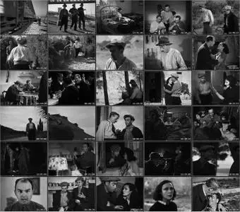 Toni (1935) [The Criterion Collection]