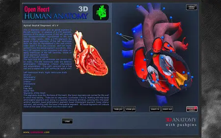 Open Heart 3D 1.0
