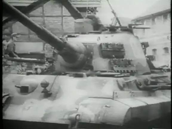 Tiger Panzer