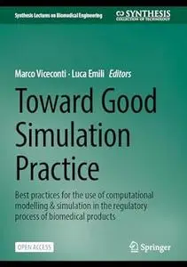 Toward Good Simulation Practice