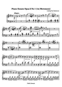BeethovenLv - Sonata No. 1 (1st Movement: Allegro)