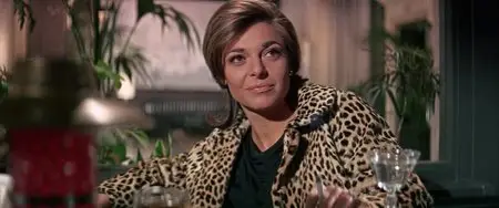 The Graduate (1967) 