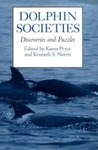 Dolphin Societies: Discoveries and Puzzles