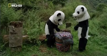 National Geographic - Giant Panda (2014)