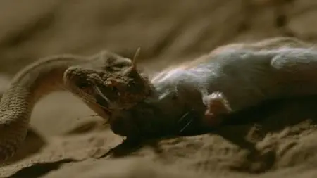Dead by Dawn S01E02