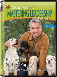 Mastering Leadership Series Vol 6 - Raising the Perfect Puppy