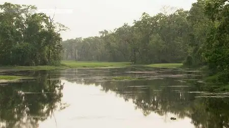 NHK Wildlife - Return of the Giants: The Indian Rhinoceros (2012)