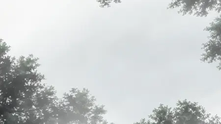 A s mushi shi   19   string from the sky  rs2