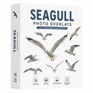 Seagull Photo Overlays PNG transparent for Photoshop