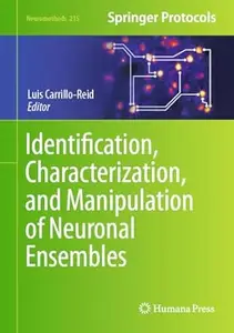 Identification, Characterization, and Manipulation of Neuronal Ensembles