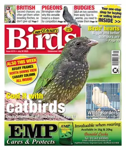 Cage & Aviary Birds - 30 July 2025
