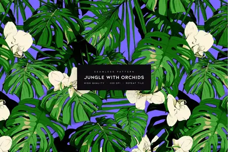 EE - Jungle with Orchids K5XKU96